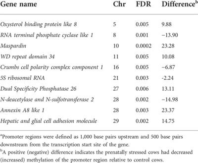 DNA methylation patterns and gene expression from amygdala tissue of mature Brahman cows exposed to prenatal stress